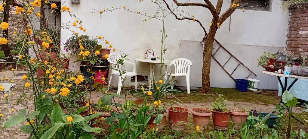 Enki's Garden Enki's Garden