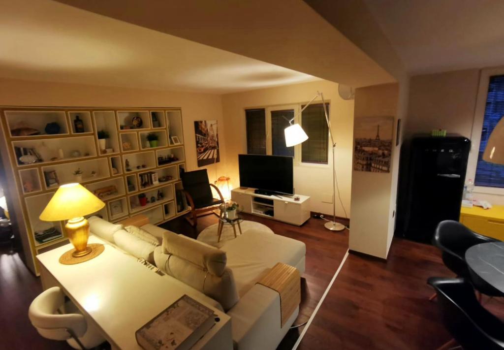 The cozy flat