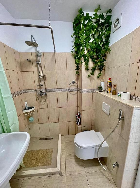 Flex Apartment Flex Apartment
