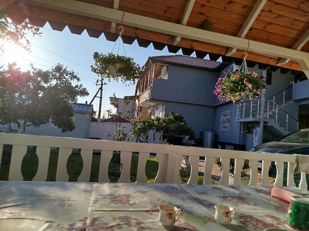 Villa Miceli