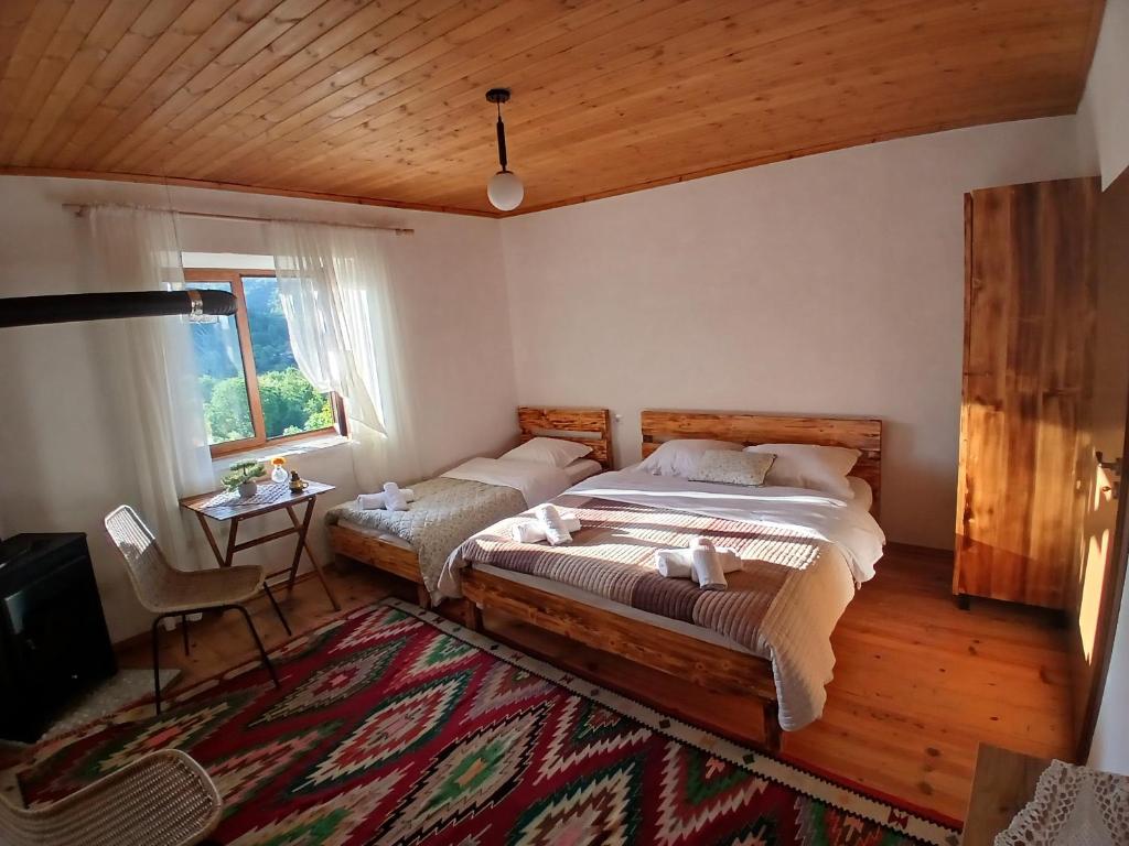 Bujtina Tusha