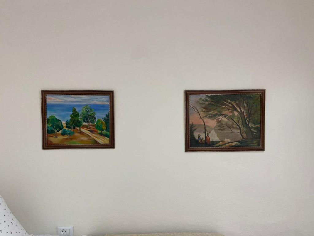 Harmony Home Harmony Home