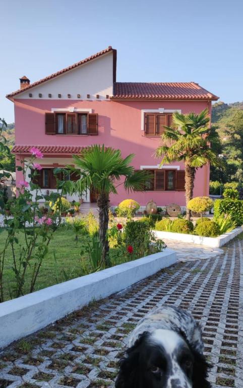 Guesthouse Ndroq Guesthouse Ndroq